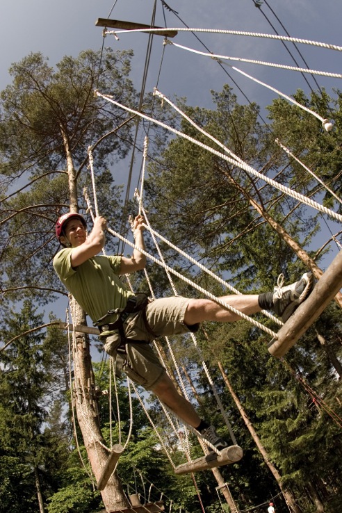 Forest high ropes course